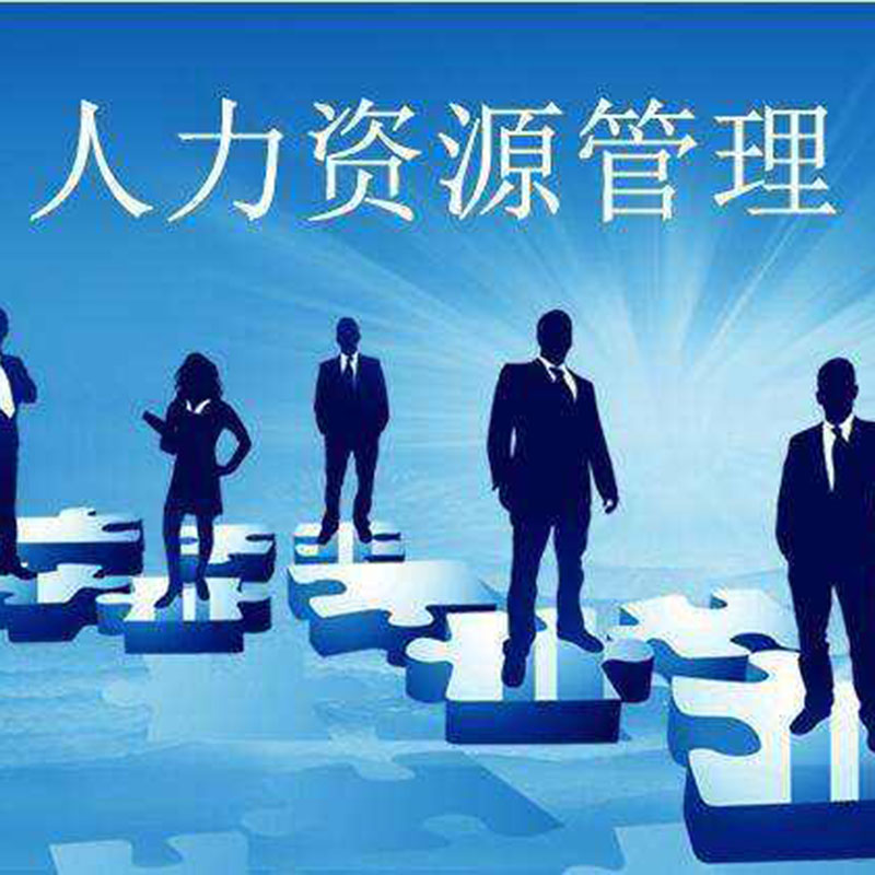 人力资源管理咨询